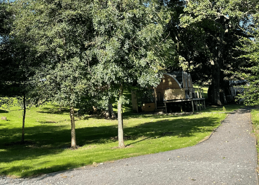 Glamping Pods Northumberland 2
