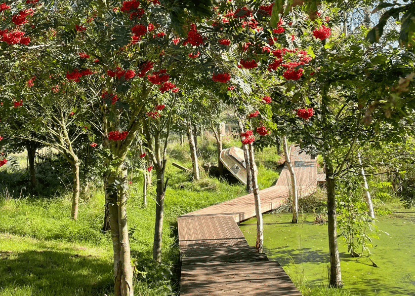 Glamping Pods Northumberland 7