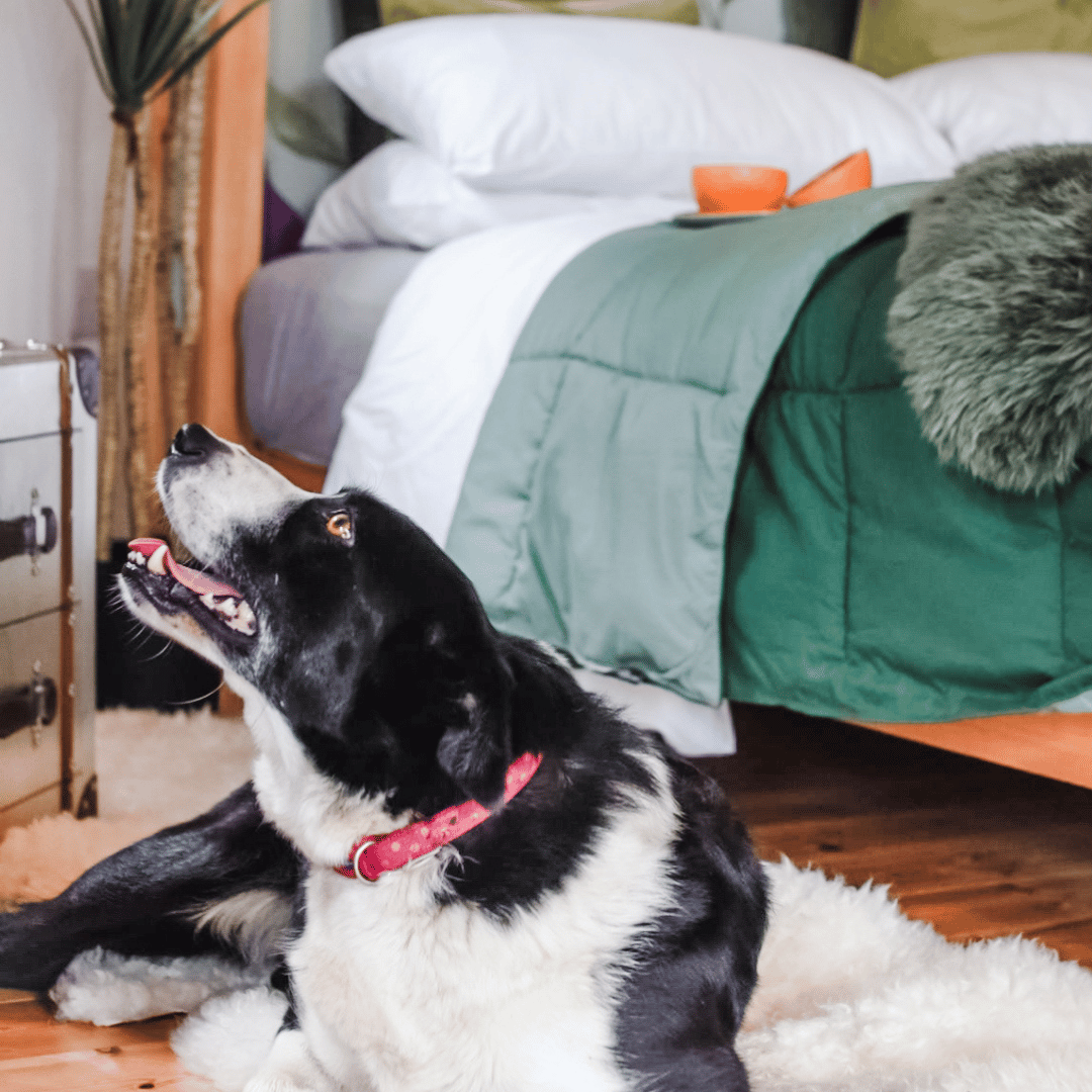 Treehouse Cabins in Northumberland 11