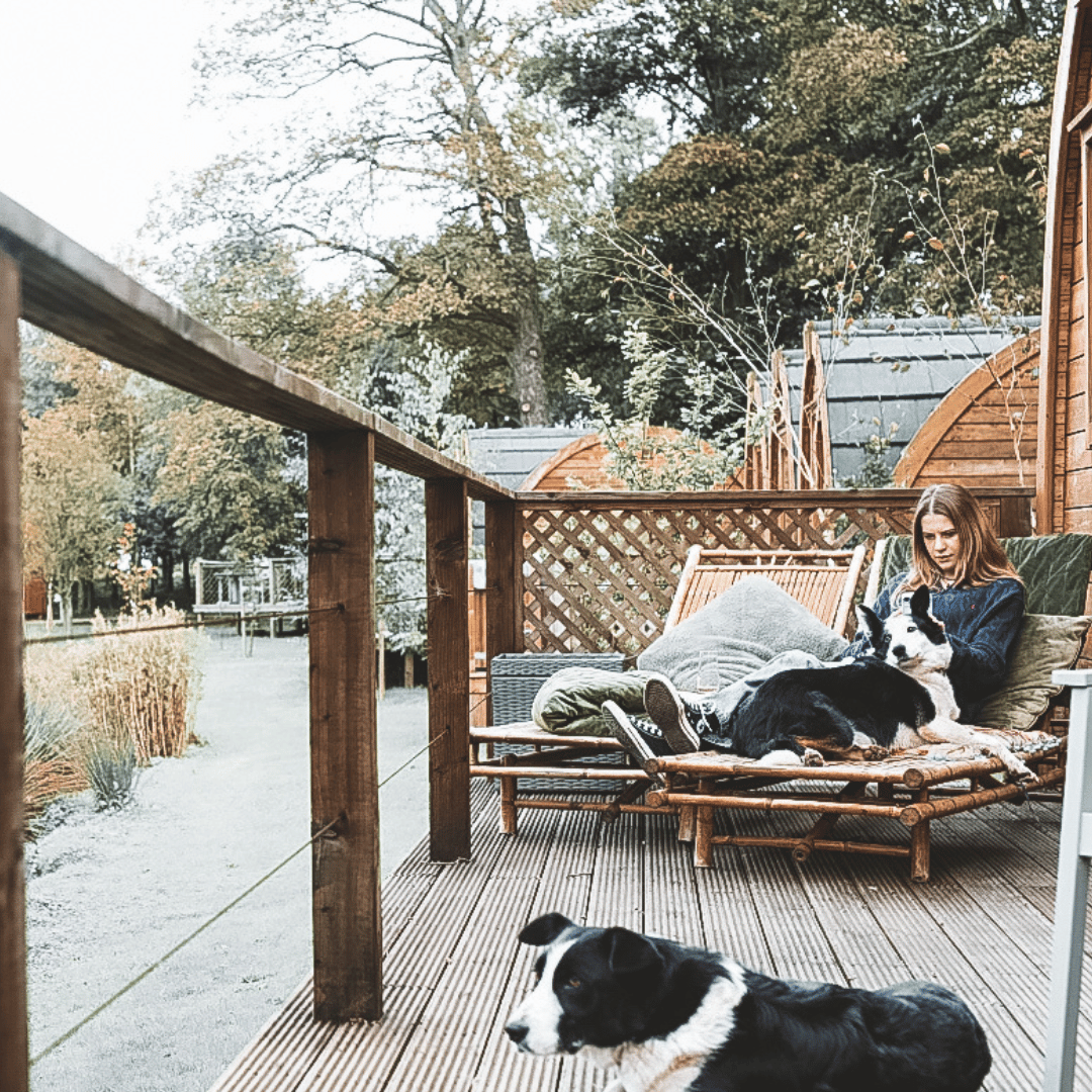 Treehouse Cabins in Northumberland 7